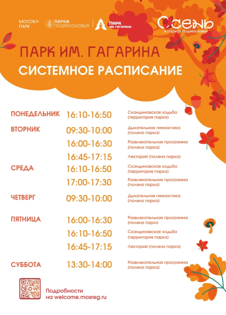 Системное расписание в парке им. Гагарина